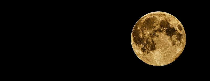 Moonlit Reception